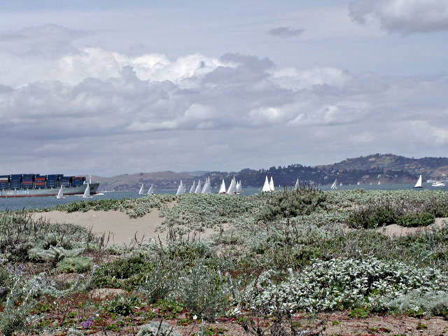 P4260020